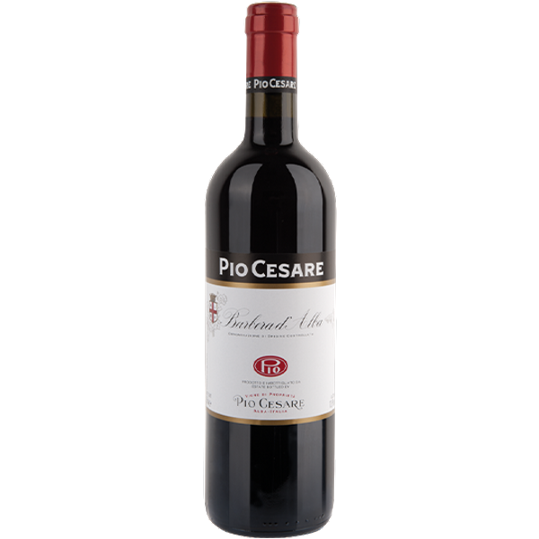 Barbera D'alba Doc 2023-image