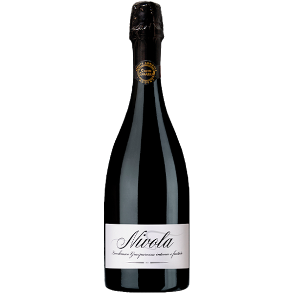 "Nivola" Lambrusco Grasparossa Di Castelvetro Doc-image