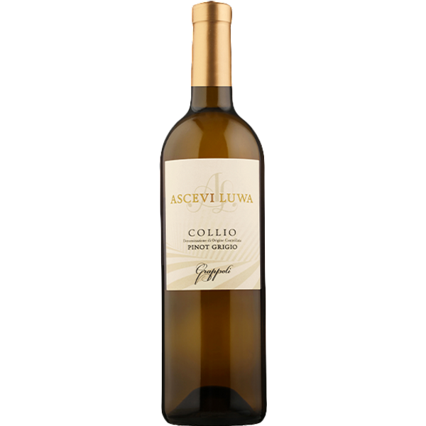 "Grappoli" Pinot Grigio Collio Doc 2025-image
