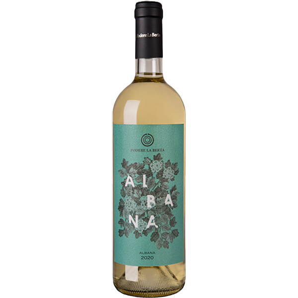 Albana Secco Romagna Docg 2024-image