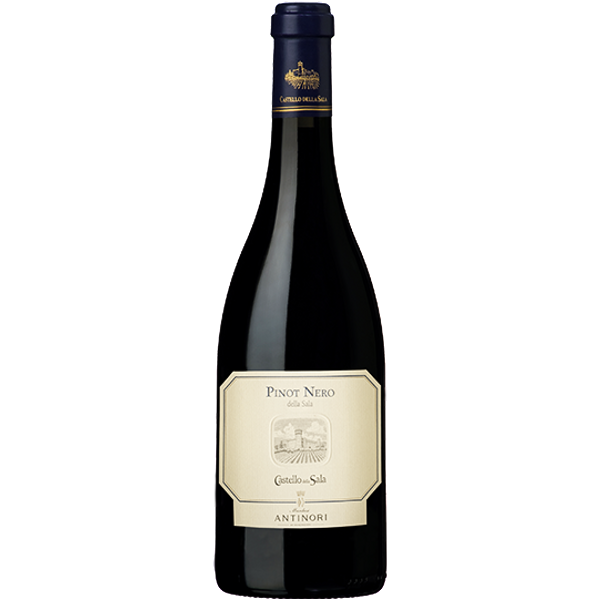 Pinot Nero Umbria Igt 2023-image