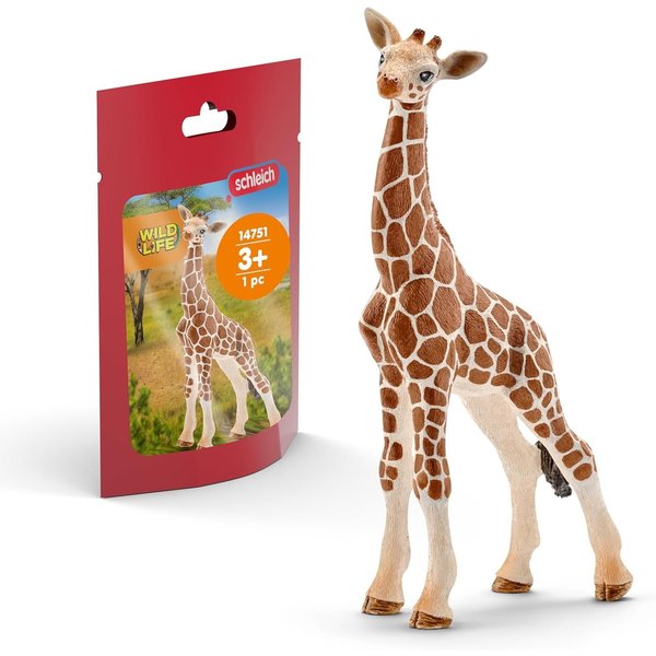 Giraffe Calf