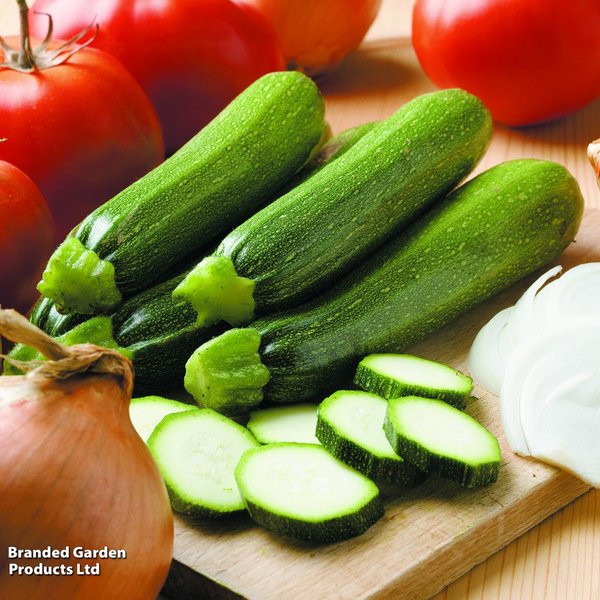 Courgette 'Defender' F1 - Seeds