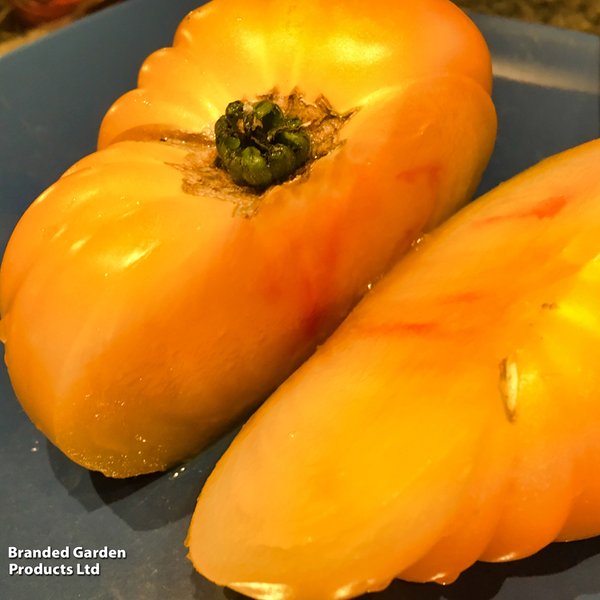 Tomato 'Pineapple' - Seeds
