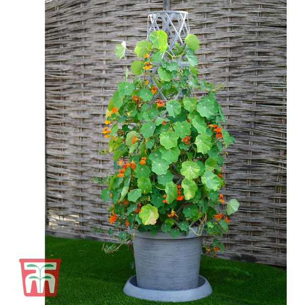 Garden Gear - Modern Grey Tower Pot