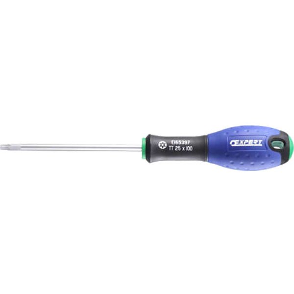 Expert by Facom Torx Screwdriver T20 100mm