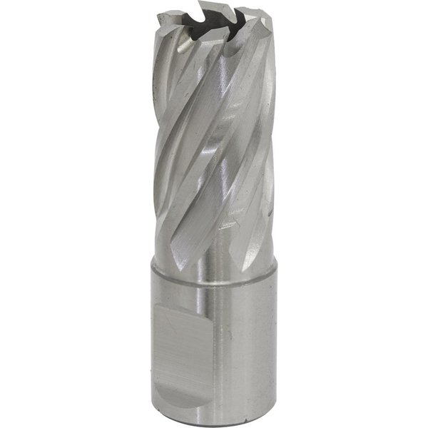 Sealey Rotabor Weldon Shank HSS Mag Drill Cutter