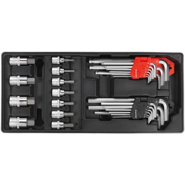 Sealey 29 Piece Hexagon Allen Key and Socket Bit Set in Module Tray