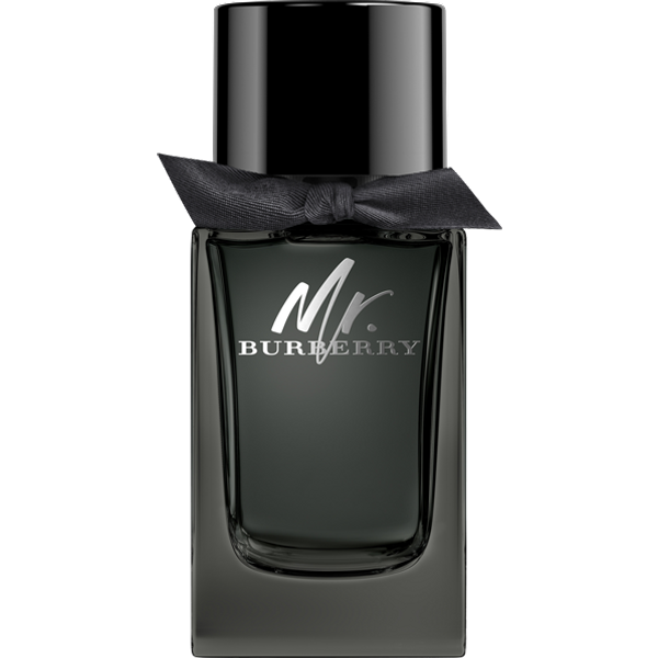 Burberry Mr. Burberry EdP Nat. Spray