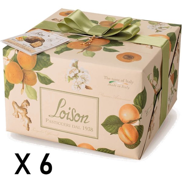 Panettone Albicocca e Zenzero 6pz x 0,5 kg - Loison