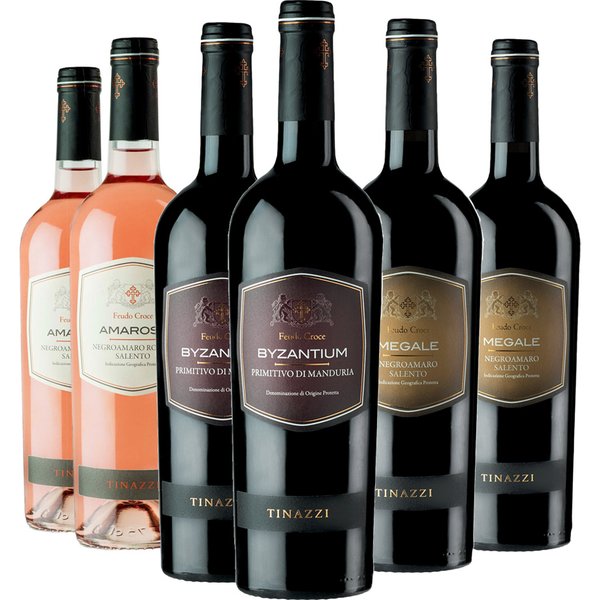 Degustazione 6 bt Puglia - Tinazzi
