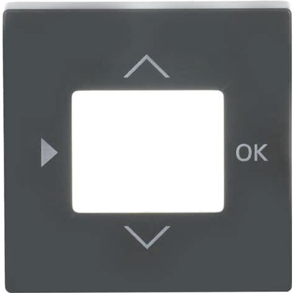 BJ carat Abdeckung für Timer- 6435-81 Bedienelement Komfort/ Stand. anthraz