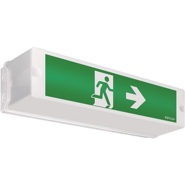 ESYLUX Notleuchte Wand/-Dec. SLA LEDi SC 3h EKW14m IP54 inkl Pikto. EN10017551