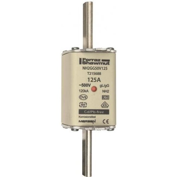 Mersen 1B265.000000 NH2 125A gG T215688C 500V NH-Sicherung sfü spannungsführend