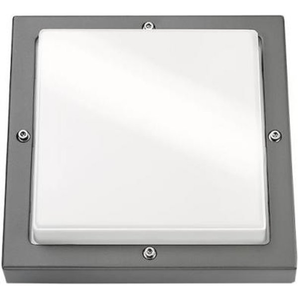 SGL Wandleuchte Bassi grafit 60W 623180 E27 IP65 IK10 240x240mm