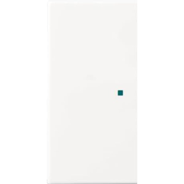 BJ Wippe 2-fach blind 6230-20-914 Busch-free@home alpinweiß balance SI