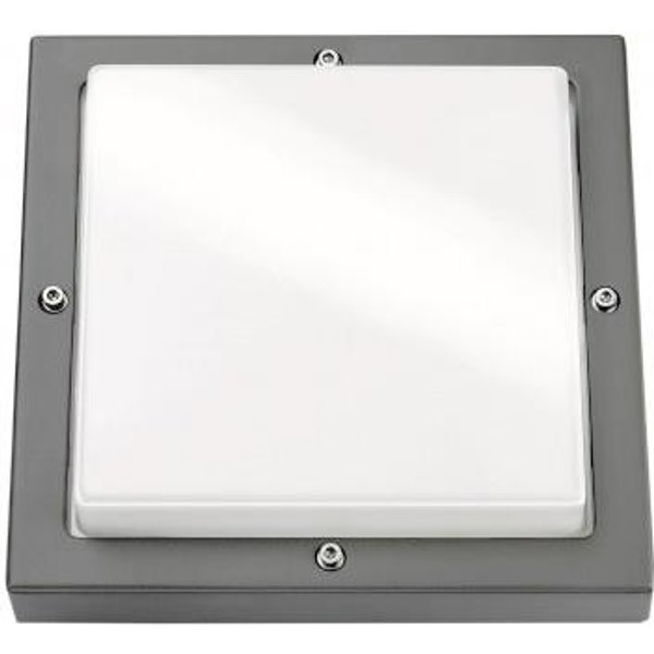 SGL LED-Wandleuchte Bassi grafit 623188 10W 580lm 3K IK10 IP65 m.Dae 240x240mm