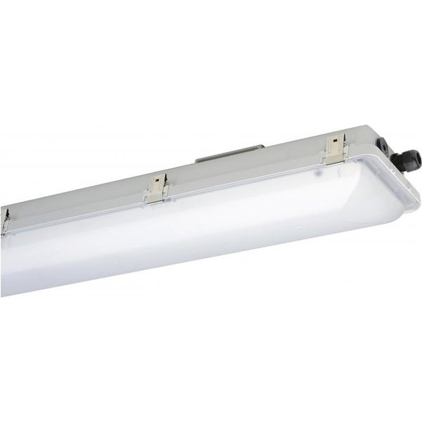 SCHUCH Ex-Wannenleuchte IP66 e865F 12L42 Zone 1/21/2/22 28W 4360lm 65K 1250mm sat