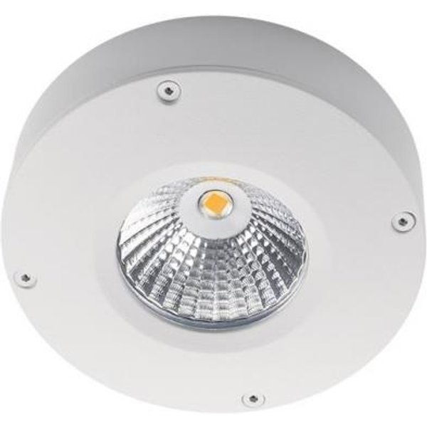 SGL Deckenleuchte Callisto weiss 912010 4W 180lm 3K dim IP65 Outdoor 110x33mm