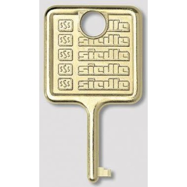 Siedle Schlüssel IM 511-0 f.Informations-Modul Edelstahl gebürstet