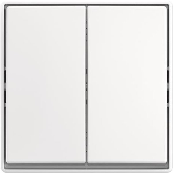 BJ Wippschalter 2601/5 J-524 Serienschaltung AP