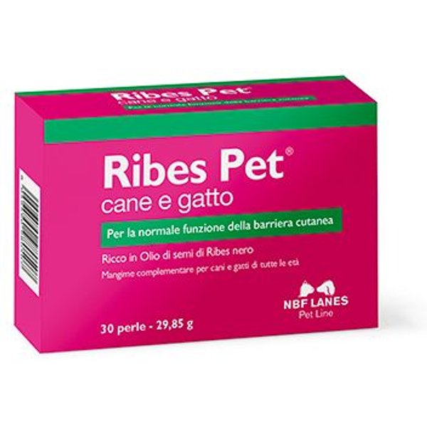 NBF Lanes Ribes Pet 30 perle-image