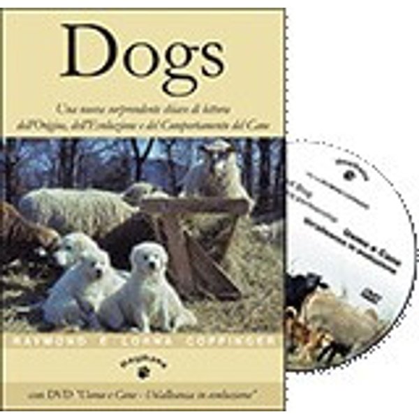 Haqihana Libro + Video : "Dogs" - "Uomo e Cane"-image