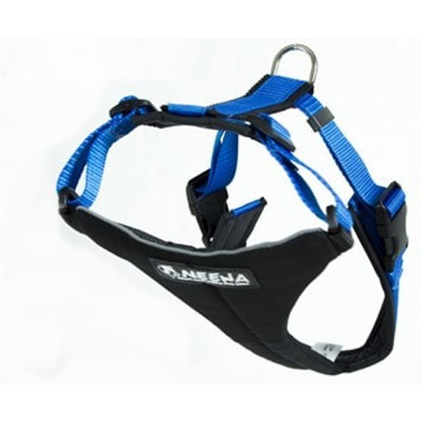 Neewa Pettorina Running ULTIMI PEZZI-image