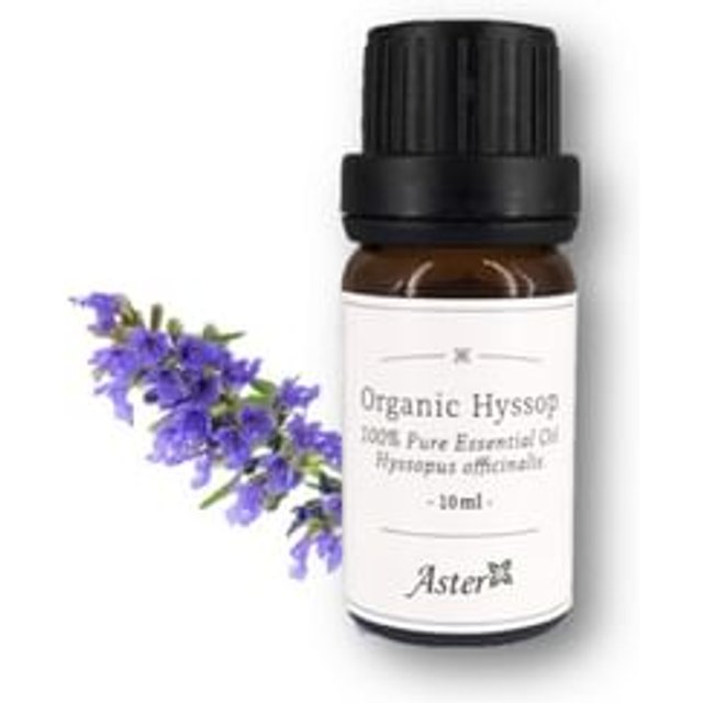 Aster Aroma - 100% Pure Essential Oil Organic Hyssop Hyssopus Officinalis 10ml