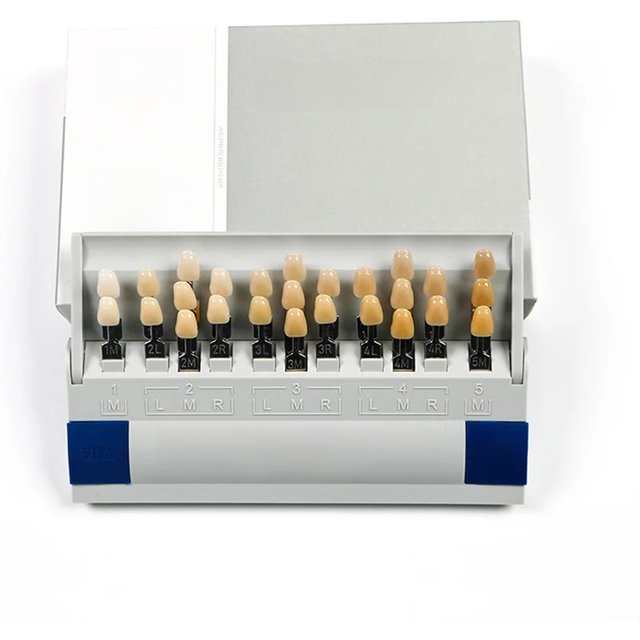 Vita 3D Master Dental Lab Bleach Shade Guide 29 Colors Teeth Whitening Comparing Toothguide Dentistry Clinic Colorimetric Plate
