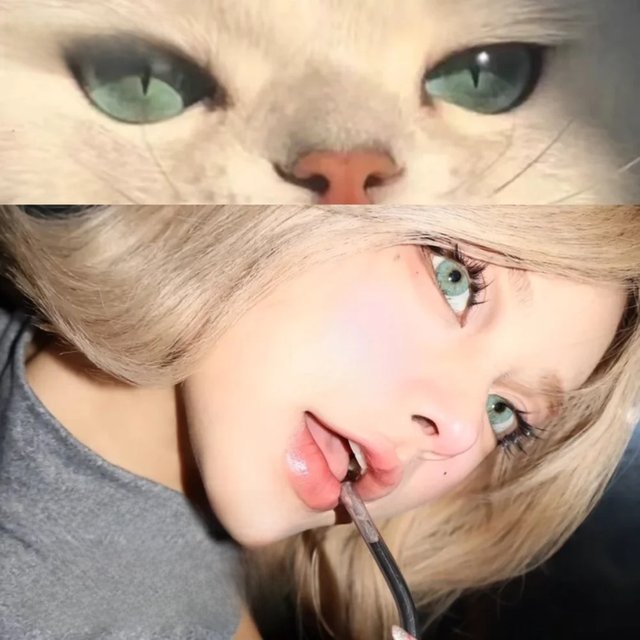 UYAAI Natural Colored Pupils for Eyes 1 Pair Black Lenses Cosmetic Brown Beauty Women Lenses Blue Eye Contact Green Colorcon