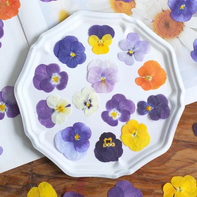 Nature Pansy Epoxy Plowers DIY Mobile Case Bookmark Greeting Card,Dried Flower Embossed Drip Glue Jewelry,Petal Makeup,12pcs