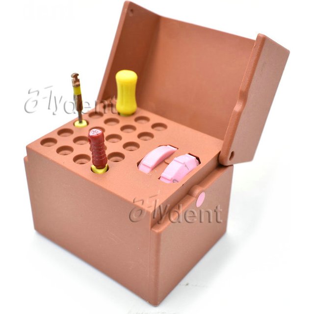 Dental Disinfection Endo Files 20holes Random Color Holder Box Autoclave Sterilizer Case Burs For Oral Care Tools