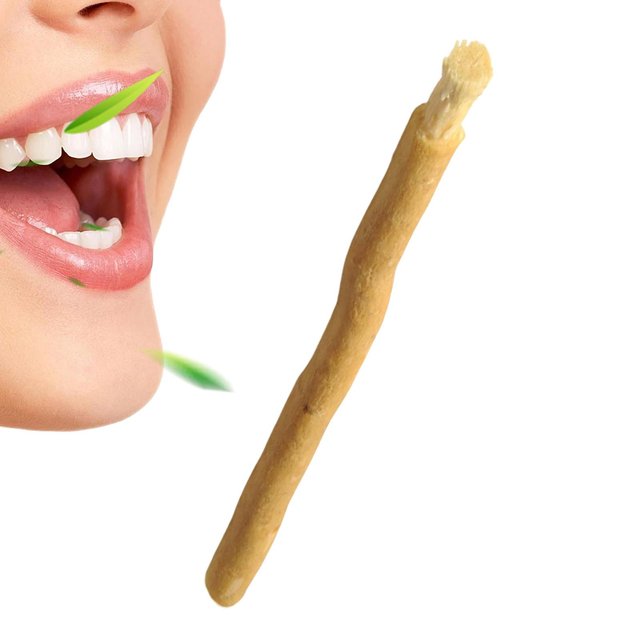 Organic toothbrush sticks Natural Fiber Bristles Brush African Teeth Cleaning Sticks for Lady Dad Grandparent Mother