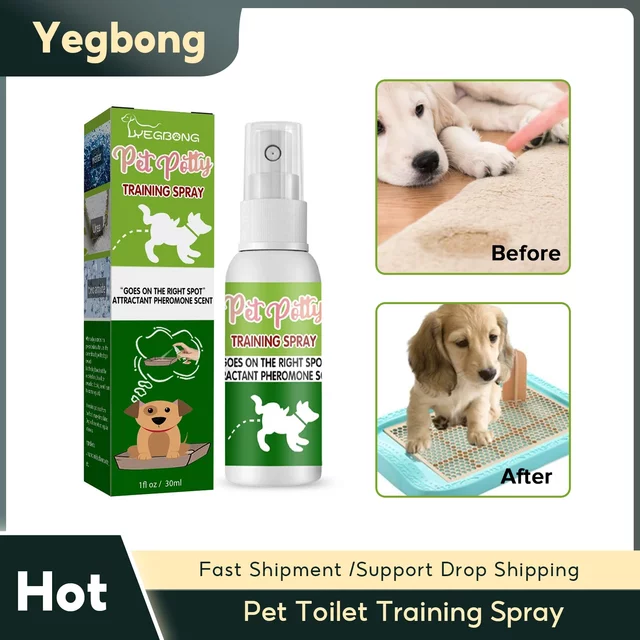 Spray d'entraînement à la propreté pour animaux de compagnie, parfum attractif pour chiens, aide au positionnement et à la défécation des chiots