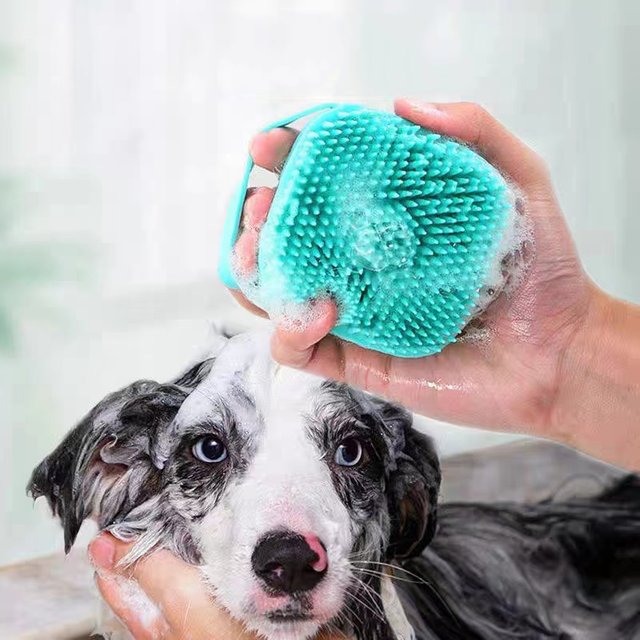 Brosse de bain en silicone souple pour animaux de compagnie, masseur, gel douche, outils de