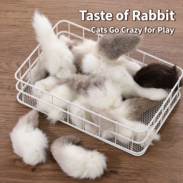 Jouet naturel en queue de lapin pour chat, 2 pièces, jouet à mâcher en peluche parfumé pour l'enrichissement des chats d'intérieur, jouet universel doux et interactif pour chat et chien