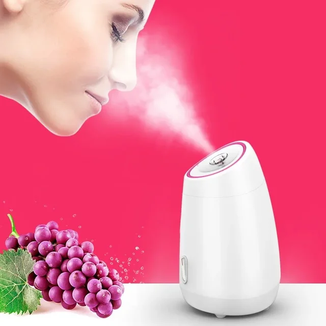 Fruit and vegetable steamer, hot spray beauty instrument, spray water replenisher, face steamer, face care instrument