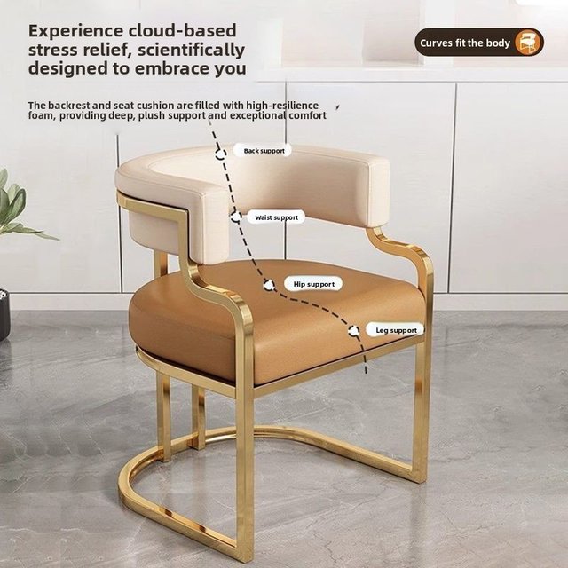 Modern Light Luxury Accent Chair Premium Dining Chair for Salon Reception Office Conference Hotel Lounge Makeup Nail Studio