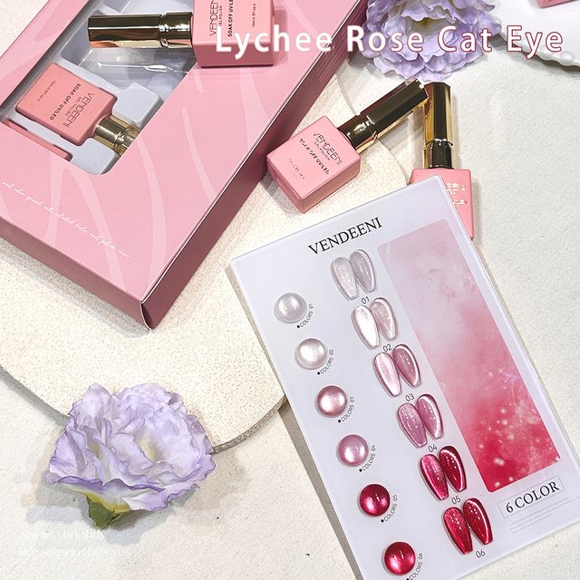 Vendeeni 6-Colors Set Pink Jelly Cat Eye Gel Nail Polish UV LED Nude Skin Crystal Magnetic Manicure Varnish with Color Card