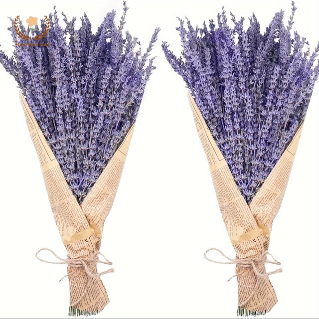 Mèches de fleurs de lavande séchées naturelles, 50/100g, pour décoration de fête de mariage, artisanat, cadeau, accessoires Photo, parfum de maison