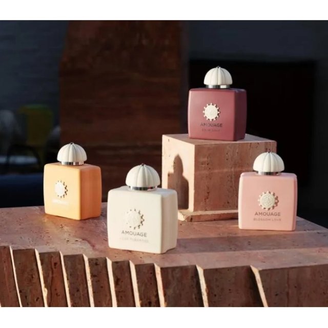 AMOUAGE Women Eau de parfum 100ml Long Lasting Elegant Feminine Scent Soft Warm Unique Fragrance with Irresistible Variants