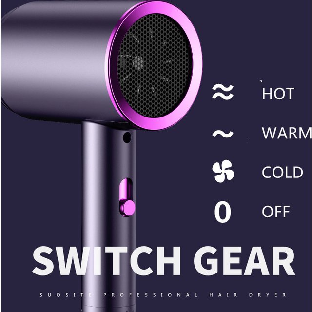 Hair Dryer Household Anion Hair Care Household Large Wind Small Power Quick Drying Portable Low Noise Hair Dryer