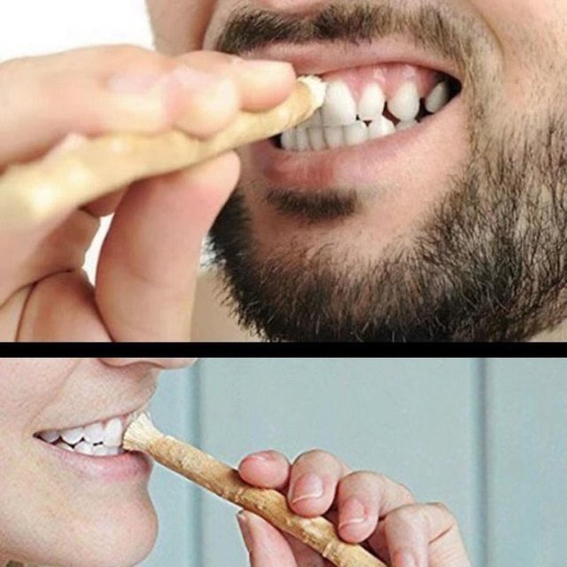 ●1Pcs Portable Natural Miswak Toothbrush Traditional Teeth Whitener & Manual Tooth Care Stick For Travel
