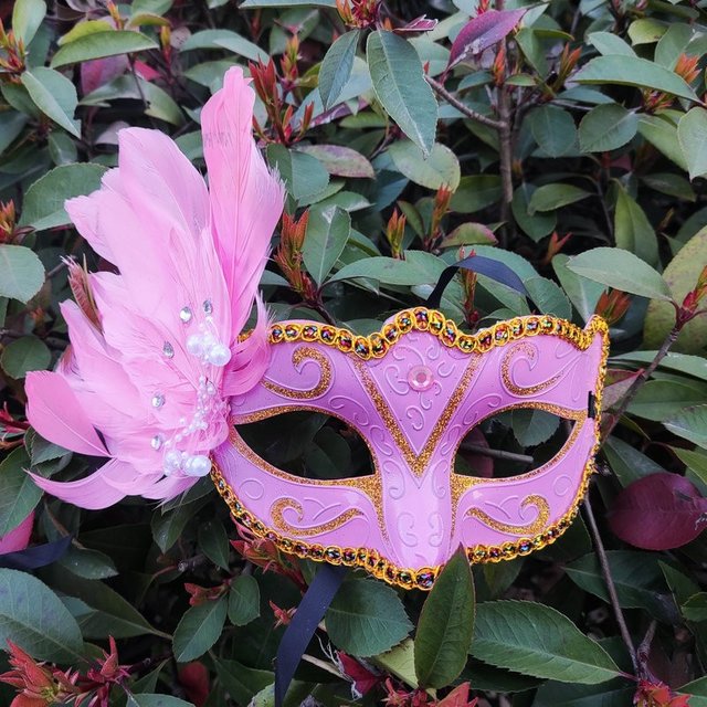 1 pièces mascarade plume Sexy masque vénitien femmes pour visage multicolore princesse masque Sexy demi Hallowmas plume masques décor