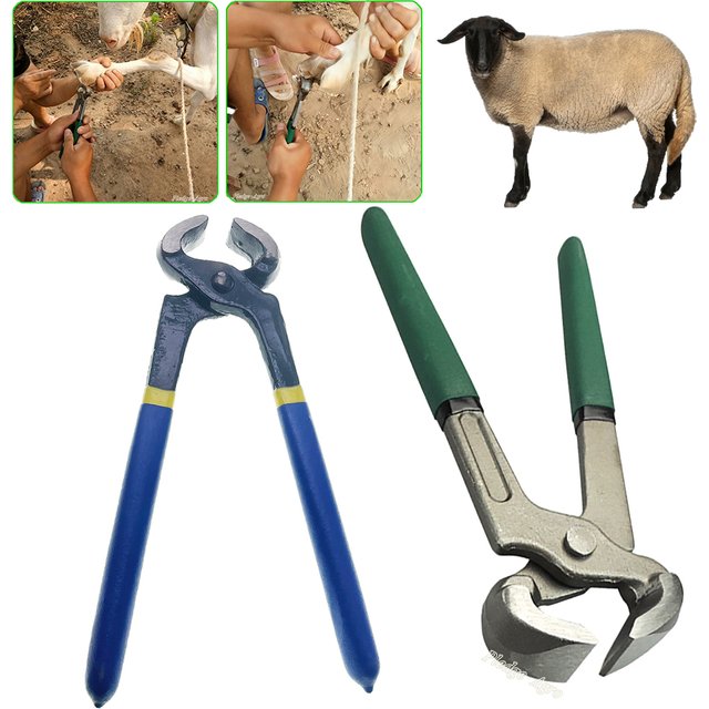 Livestock Animals Hoof Trimmers Plier Trim Hooves Nipper Foot Care Manual Plier Shears Cattle Horse Repair Hoof Knife Grooming