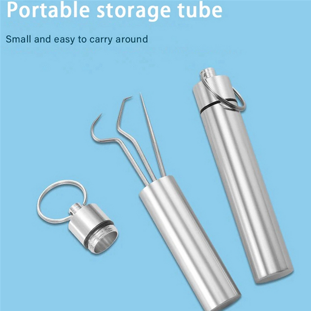Flossing Metal Toothpicks Set Reusable Toothpicks Teeth Cleaner Metal Oral Care Cleaning Tools,A