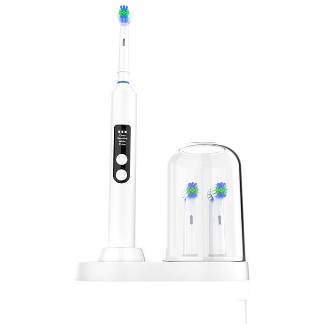 Organizer Electric Toothbrush Holder Universal Durable Toothbrush Bracket Dustproof for Oral B iO Series & EB Round Head Series
