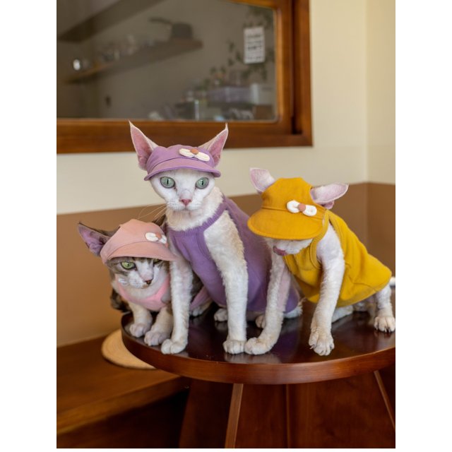 Handmade Cute Cat Hat With Ear Holes For Sphynx Sphinx Hairless Cats Kitten Devon Rex Sunscreen Travel Outdoor Adjustable Hats