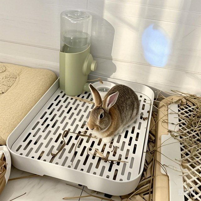 Boîte à litière pour lapin, petit platEau de toilette pour animaux de compagnie, boîte de toilette d'angle pour furet, Hamster, Dragon, chat, cochon d'inde, fournitures pour cochon hollandais, 1 pièce